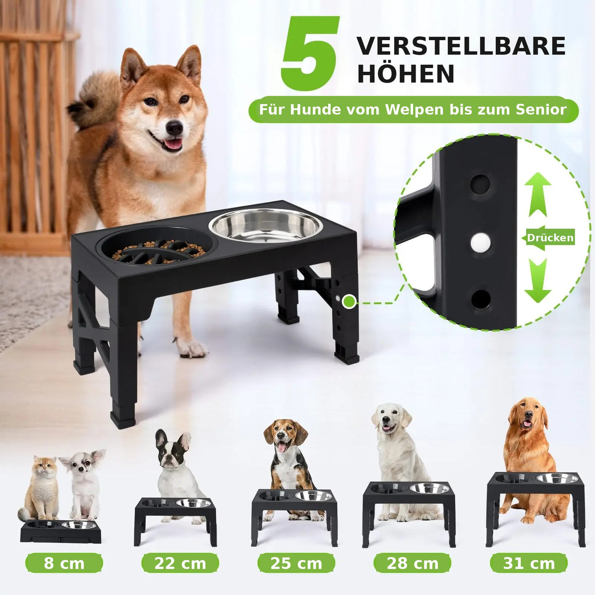 HighDine erhöhter Hundenapf: 5 verstellbare Höhen von 8 bis 31 cm, für Hunde vom Welpen bis zum Senior