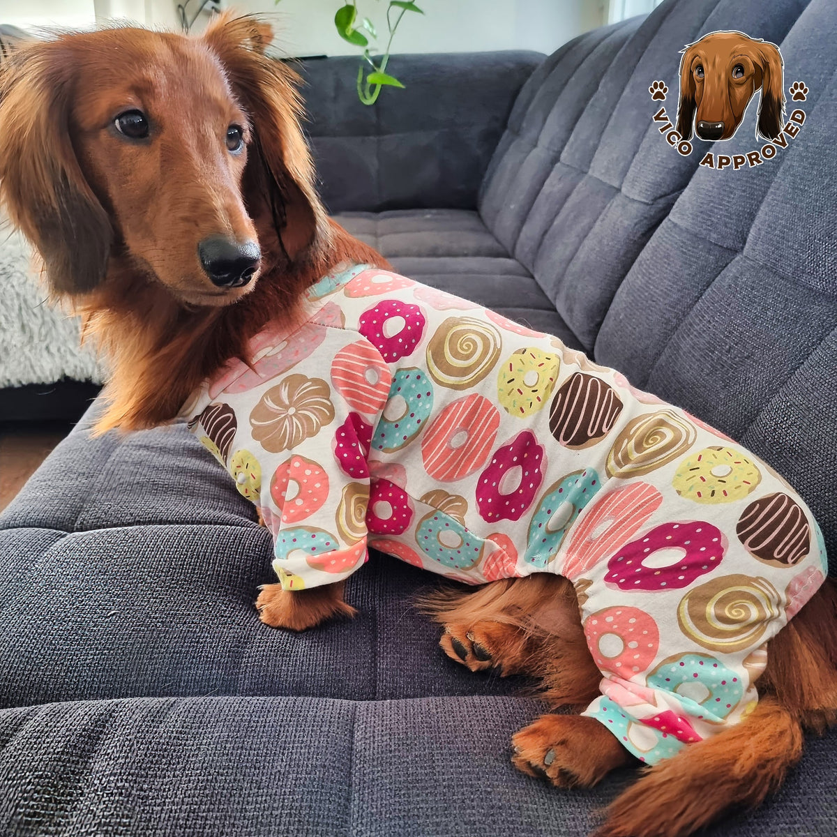 Vico im PawJama Donut-Pyjama für Hunde