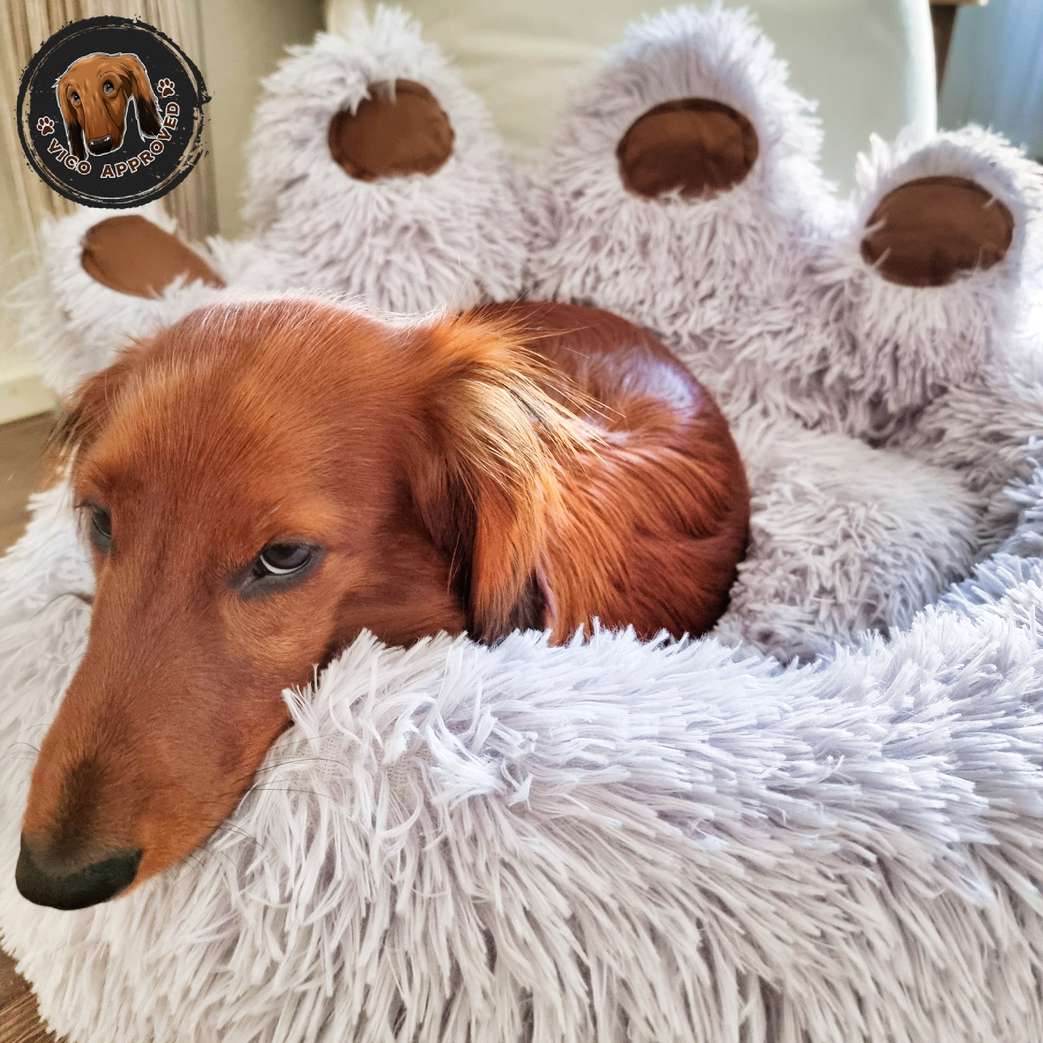 Pawfect Hundesofa - Vico's Hundewelt (6049472312499)