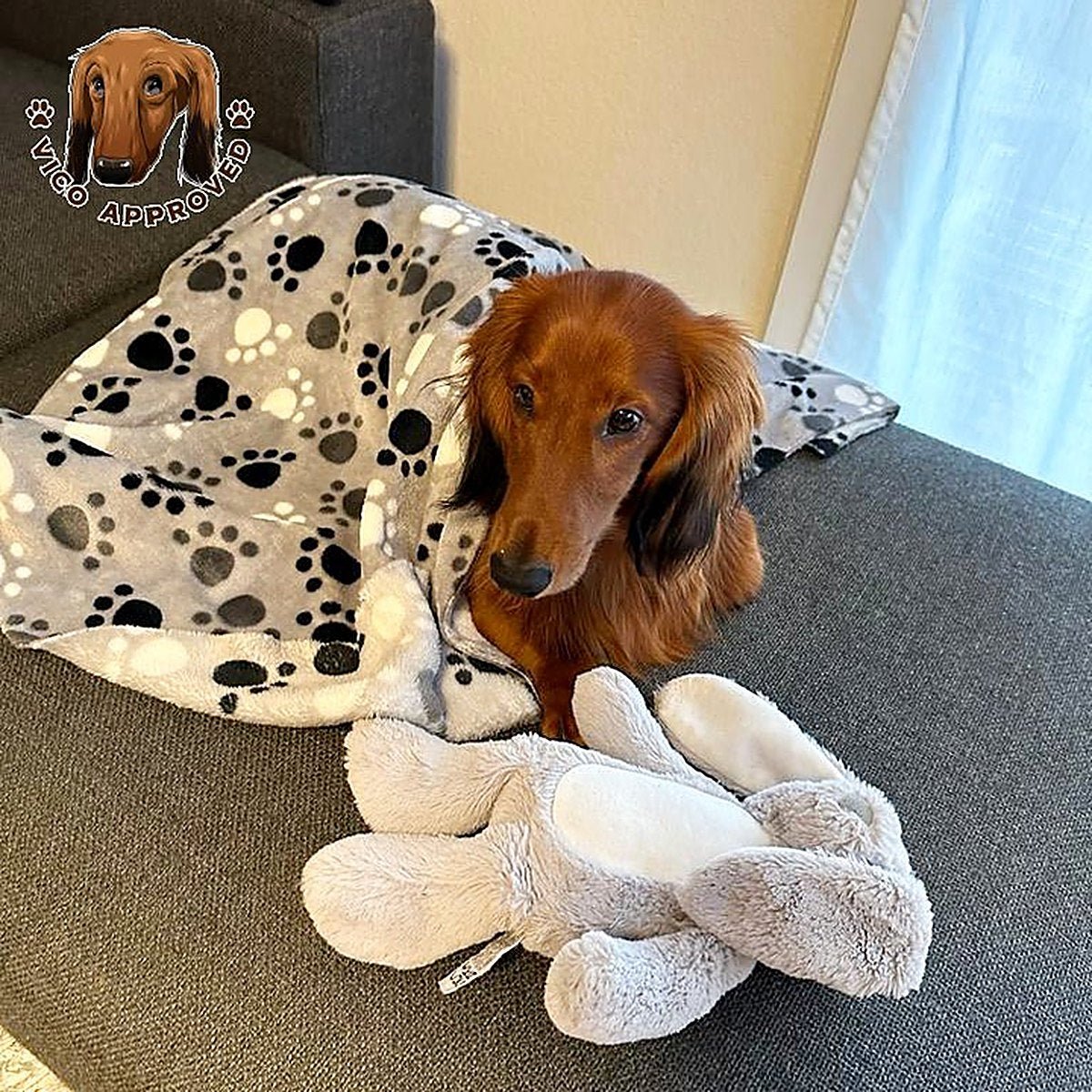 Pawfectly Hundedecke - Vico's Hundewelt (7469427297029)