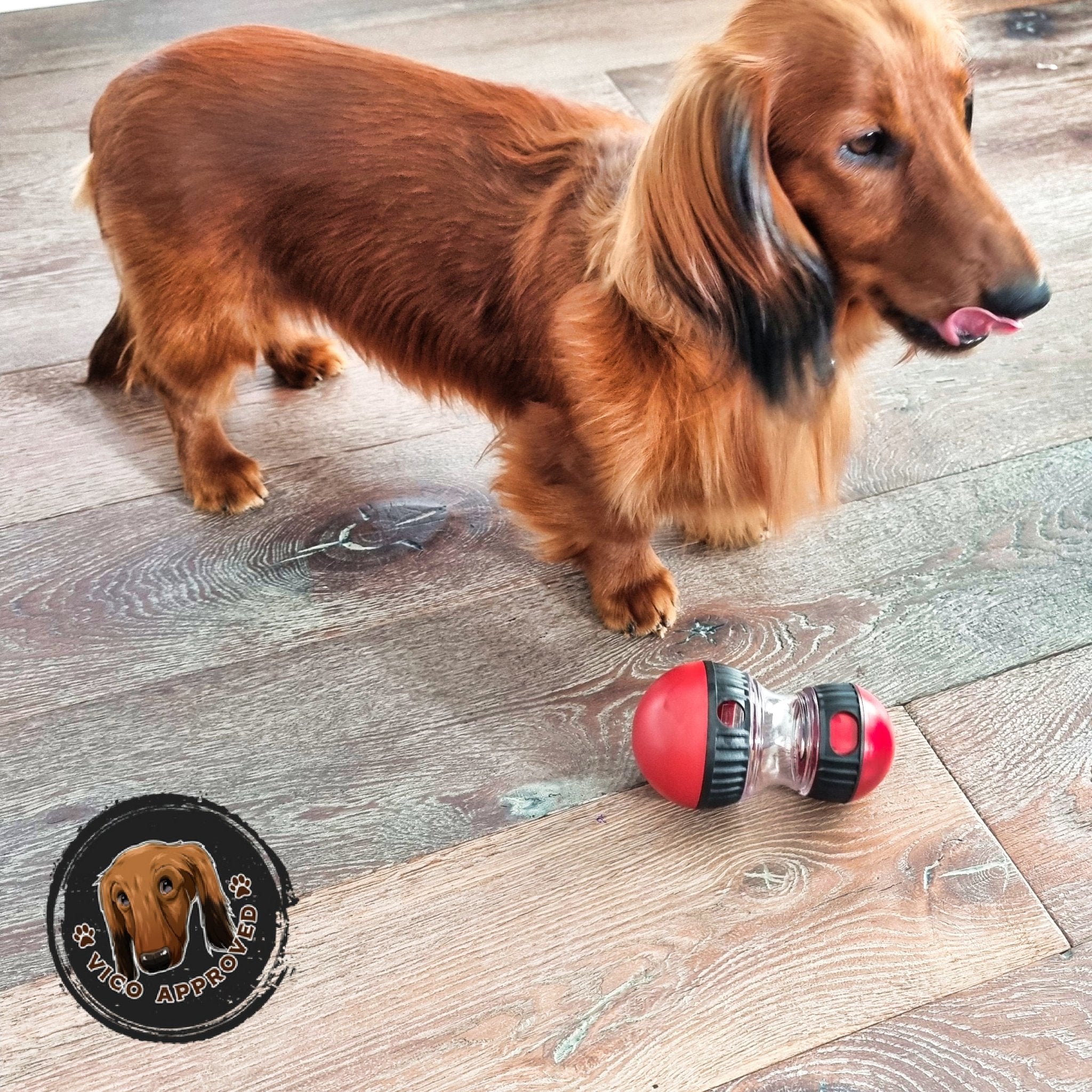 Pawzzle Treats - Die Herausforderung für schlaue Hunde - Vico's Hundewelt (8509784528981)