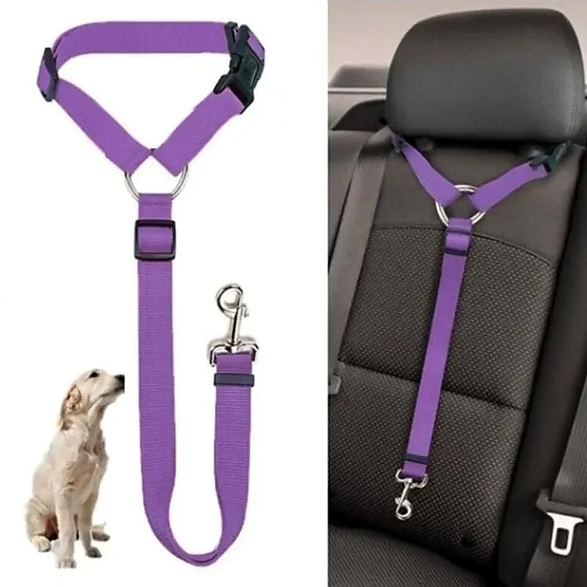PetSafe Reiseleine - Vico's Hundewelt (7448272731285)
