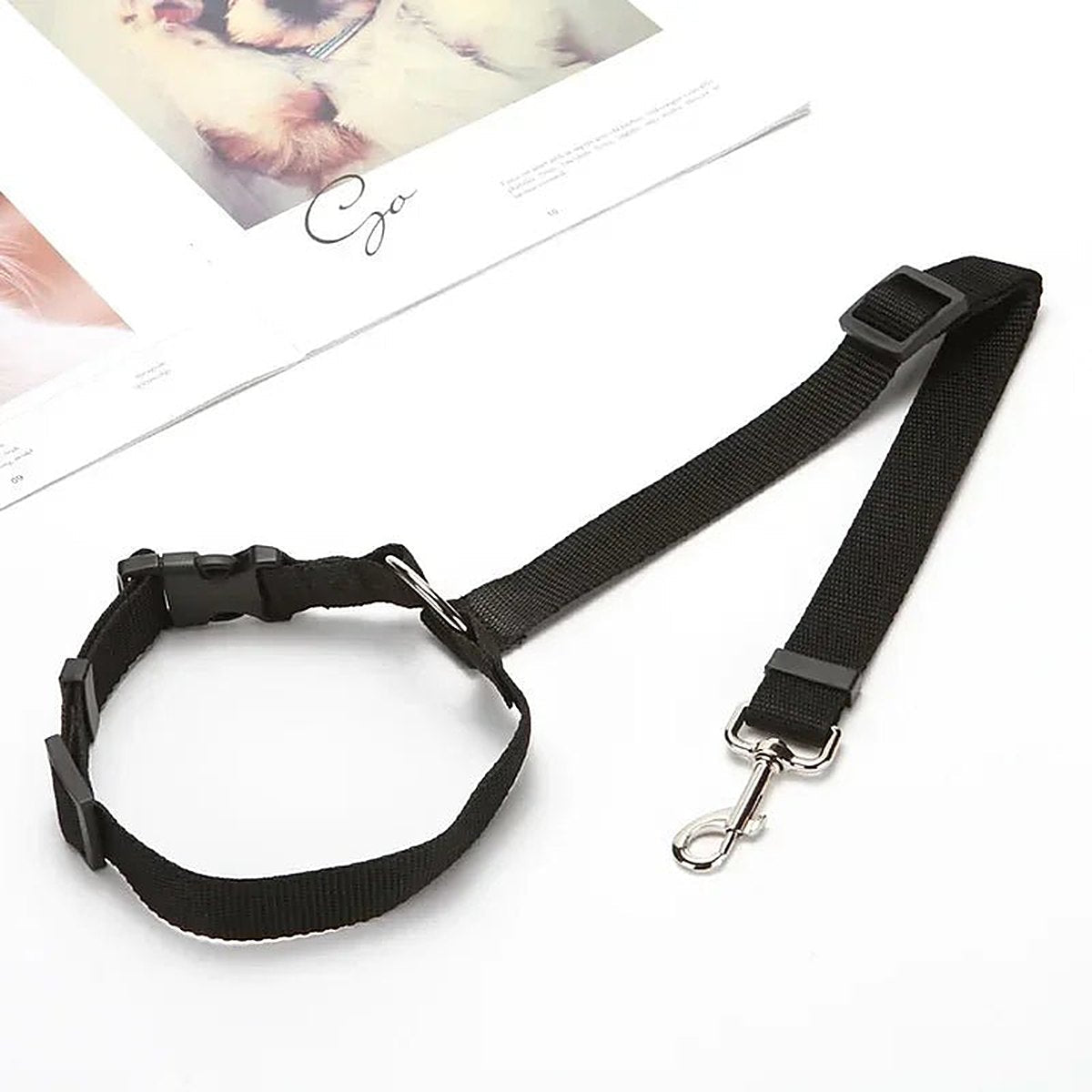 PetSafe Reiseleine von Vico's Hundewelt, Hundehalsband