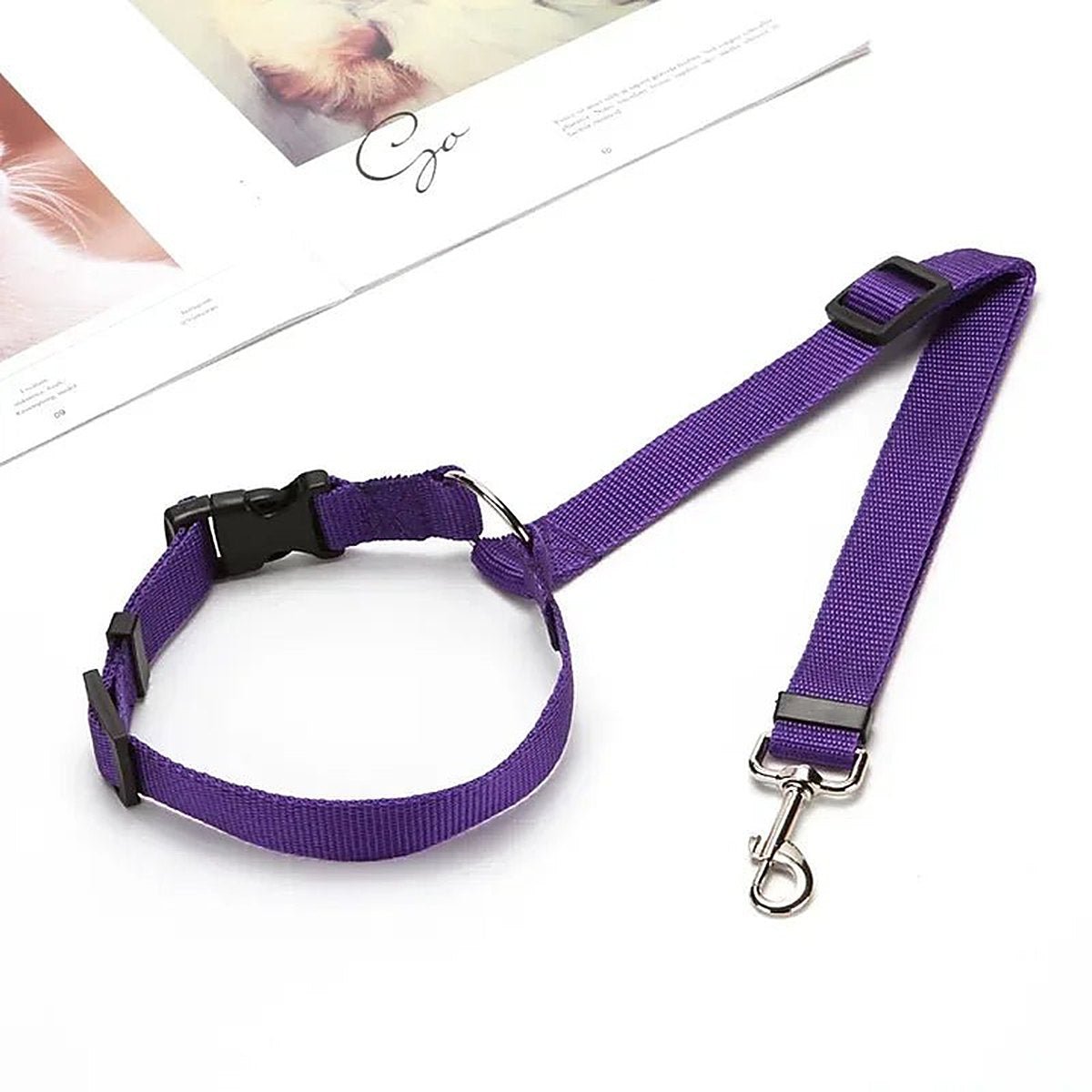PetSafe Reiseleine, Hundehalsband, Produktbild 8