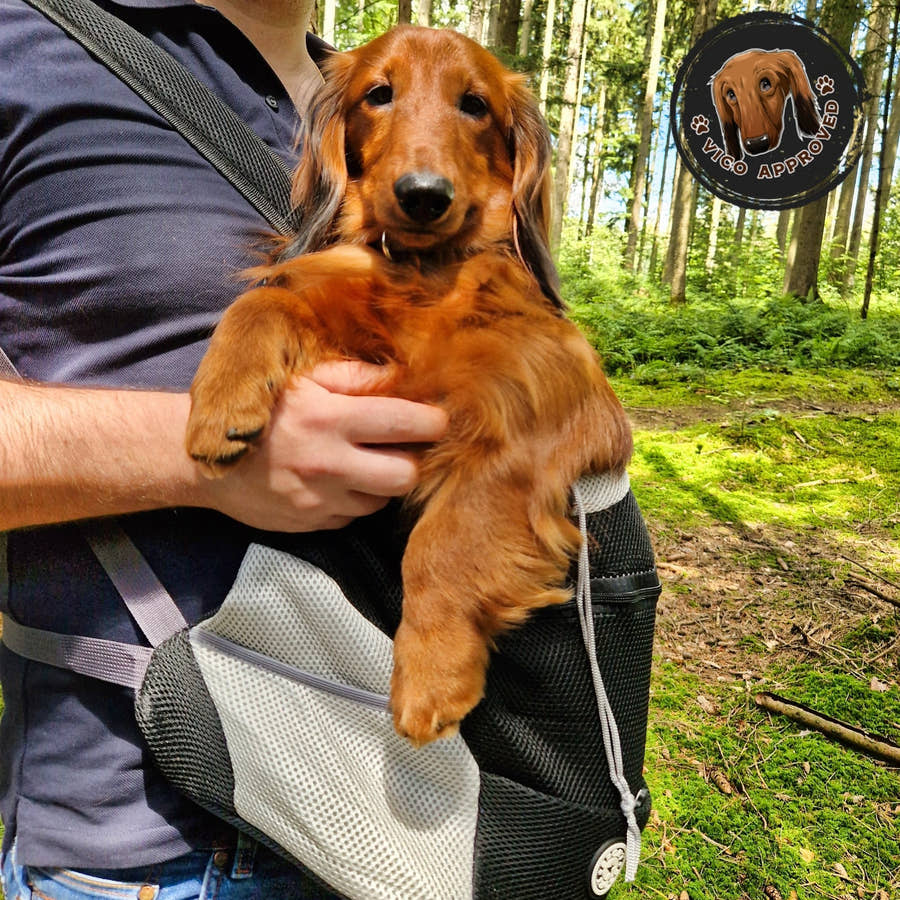 PupPal Express - Praktischer Hunderucksack - Vico's Hundewelt (8509801146754)