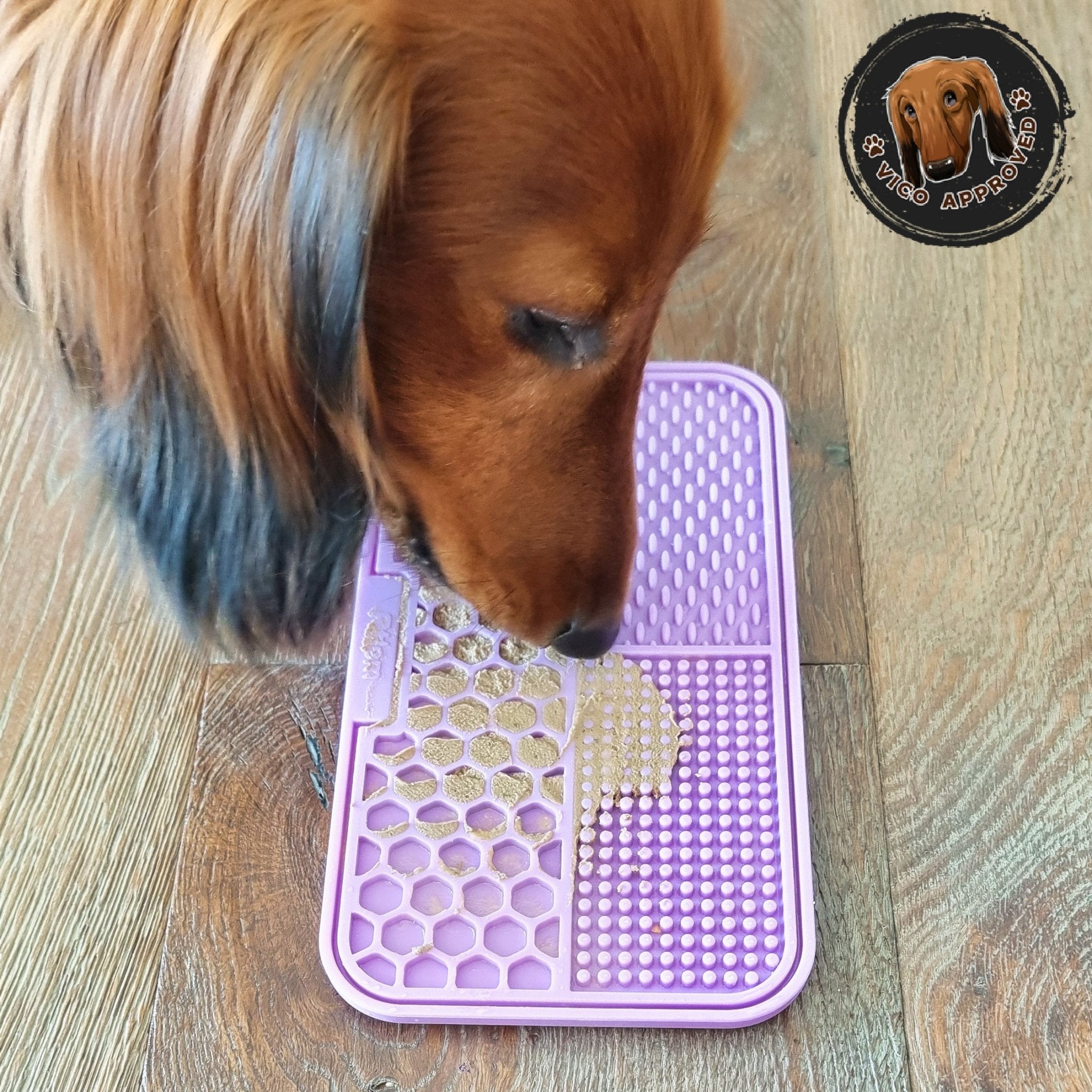 SchleckSpass - Ultimative Futtermatte - Vico's Hundewelt (4748122453408)