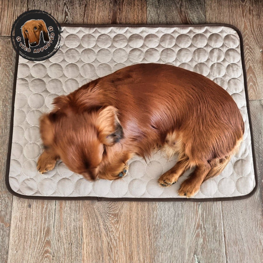 Vico's Kühloase - Vico's Hundewelt (7458292963856)