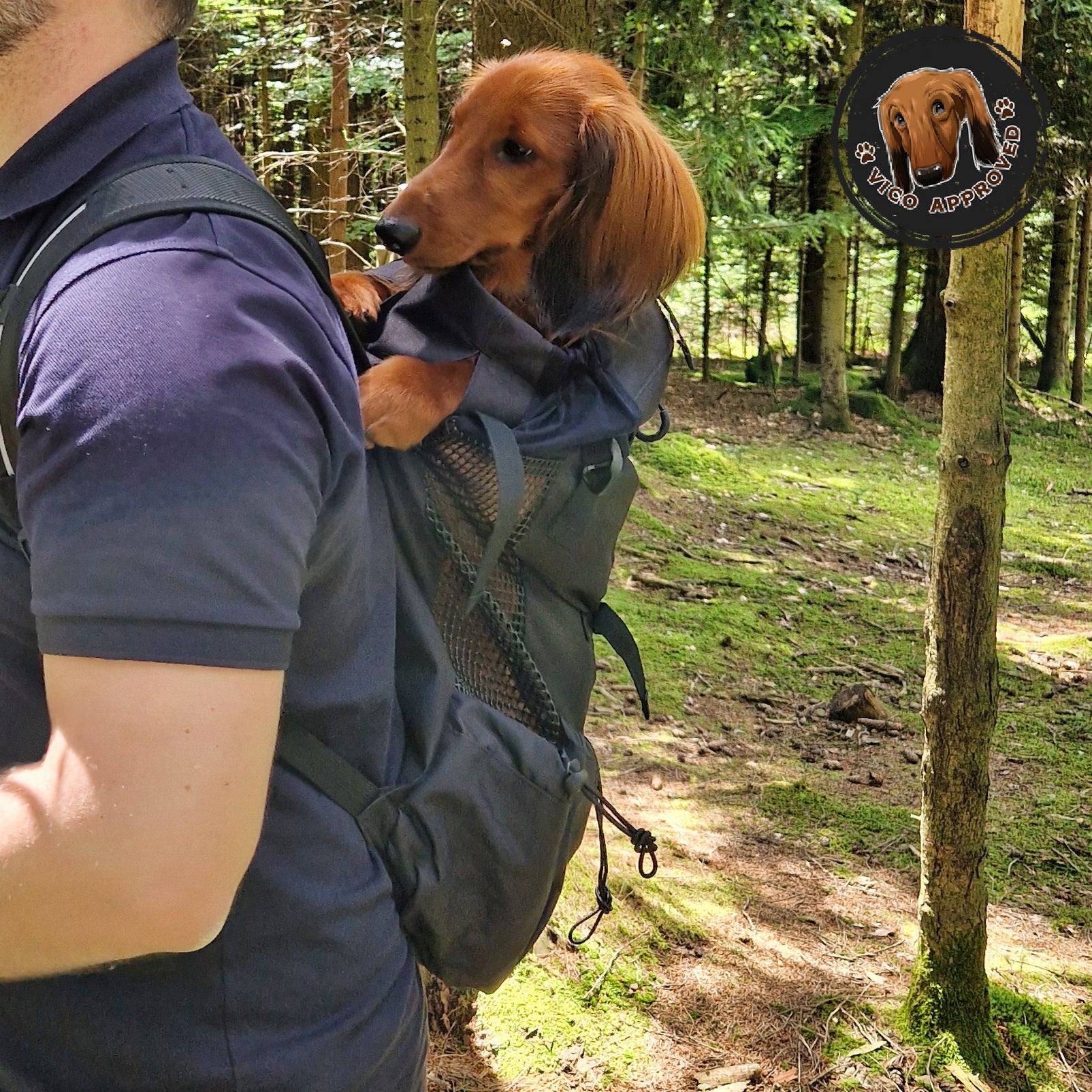 hunde reiserucksack WuffCargo