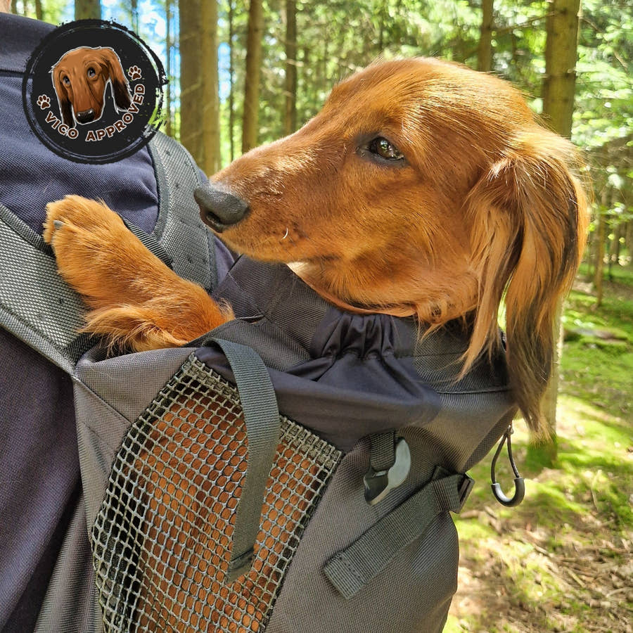 WuffCargo - Reise - Rucksack für deinen Hund - Vico's Hundewelt (4748151517676)