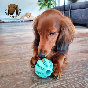 ChewyChuckle Spielball - Vico's Hundewelt (4749071807557)