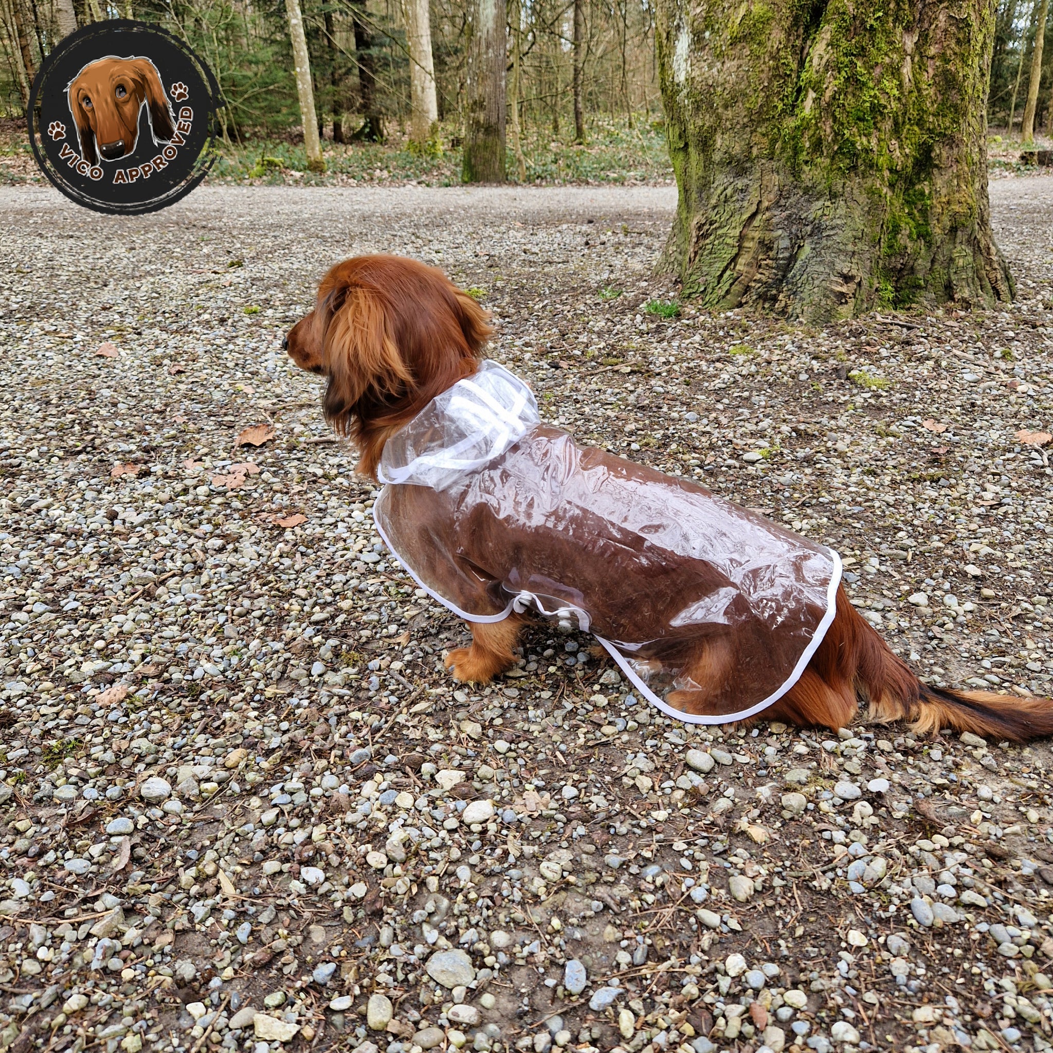 ClearSky Regenmantel - Vico's Hundewelt (5298162357185)