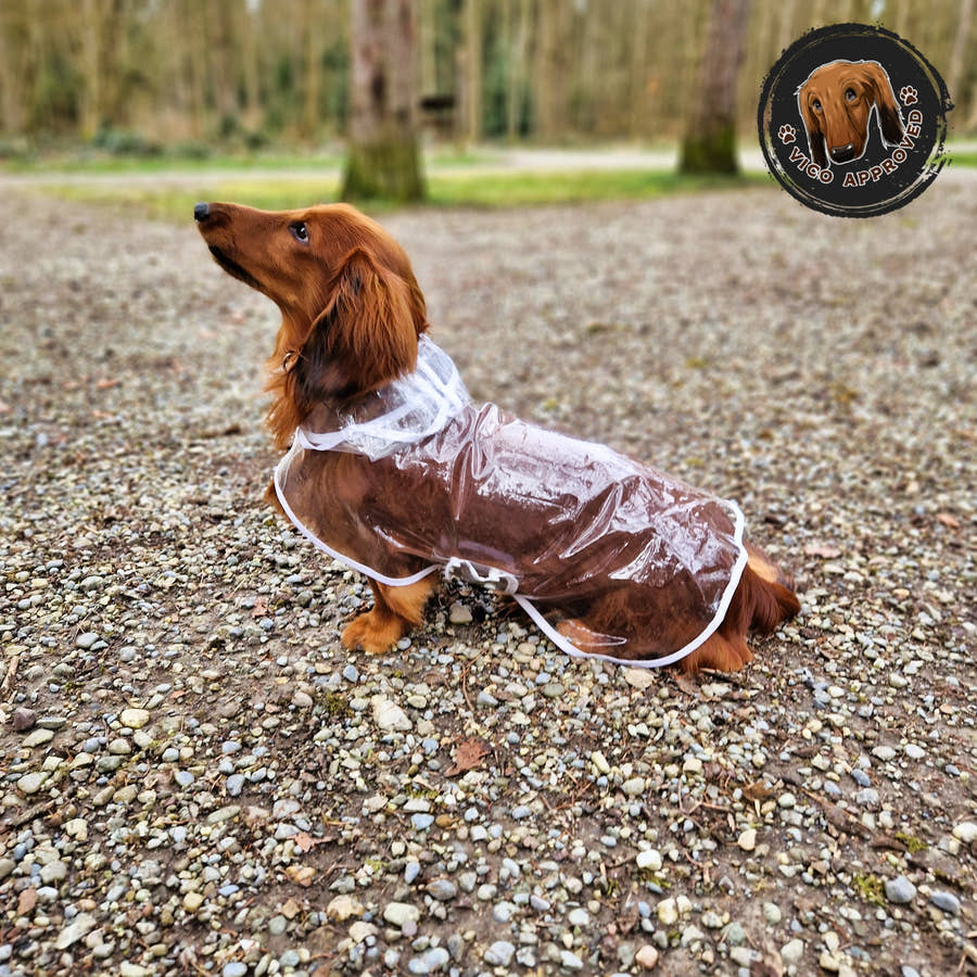 ClearSky Regenmantel - Vico's Hundewelt (5298162357185)