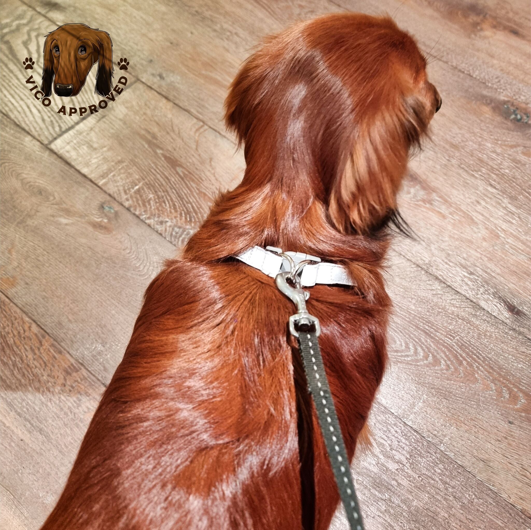 ComfyReflect Hundegeschirr - Vico's Hundewelt (5298247186310)