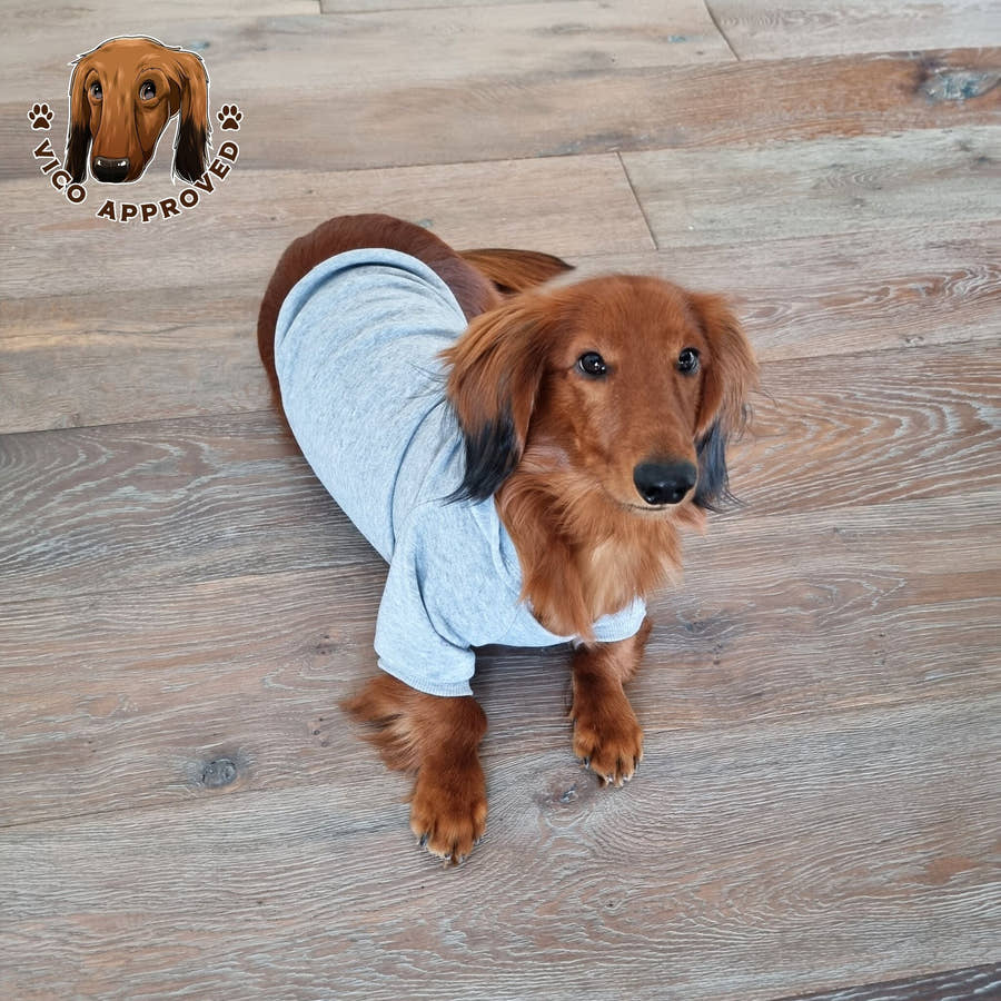 CozyPup Hoodie - Vico's Hundewelt (5298989016111)