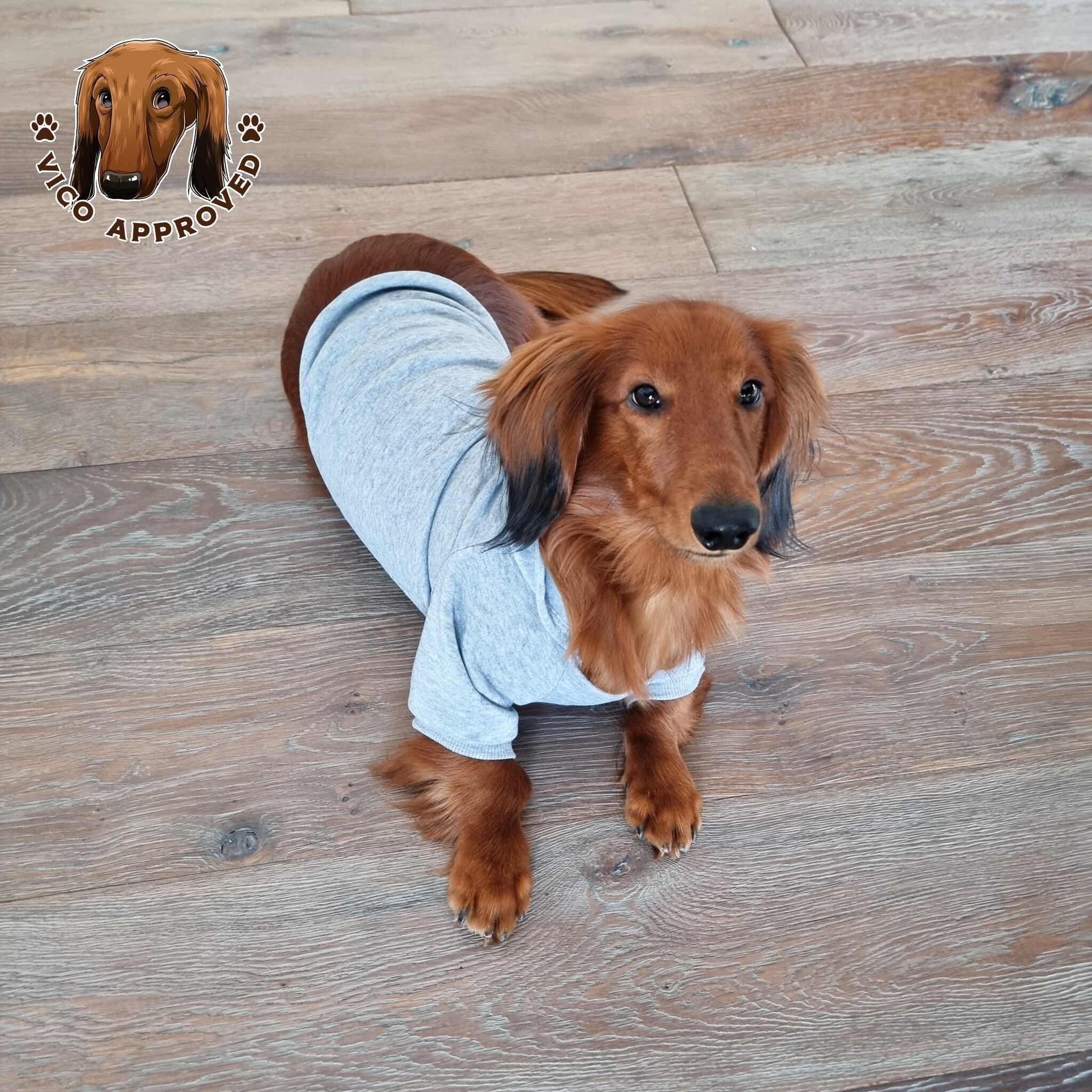 CozyPup Hoodie - Vico's Hundewelt (5298989016111)