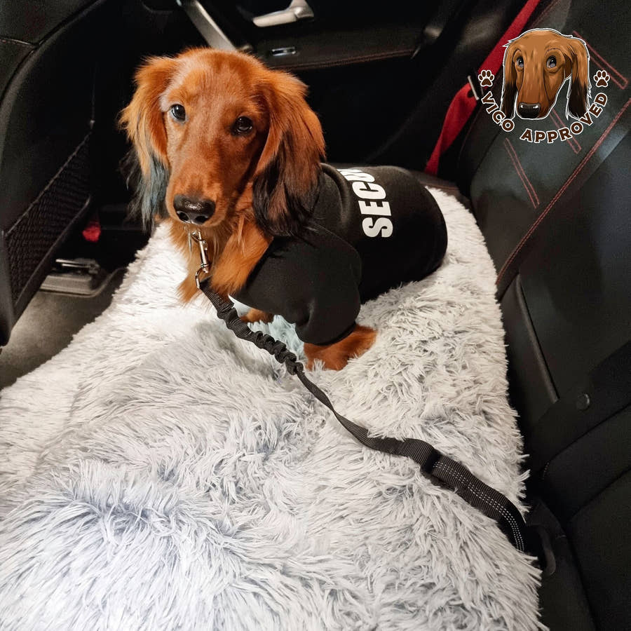 Doggy Sicherheitsgurt - Vico's Hundewelt (7469825630688)