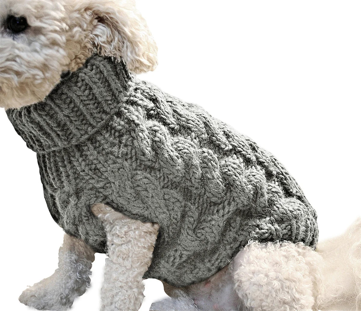 Doggy Strickjäckchen - Vico's Hundewelt (6048309172954)