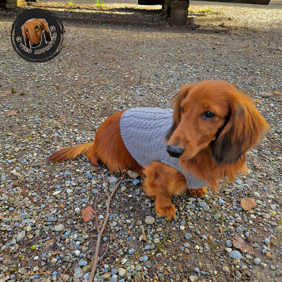 Doggy Strickjäckchen - Vico's Hundewelt (5299975552842)