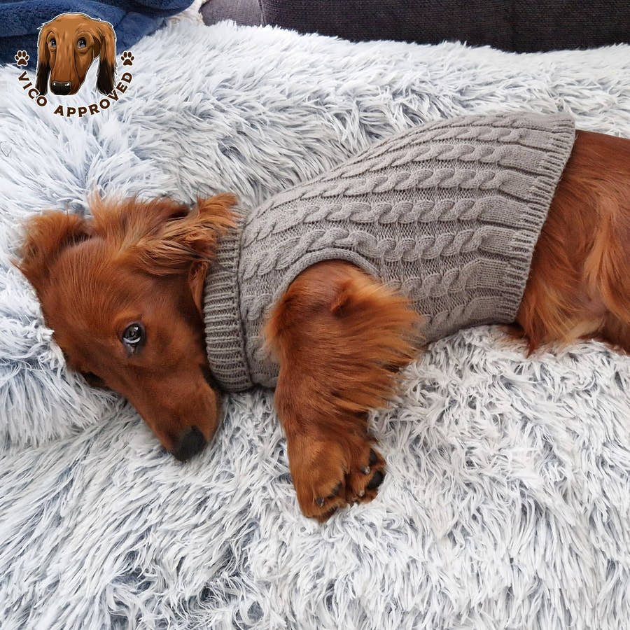 Doggy Strickjäckchen - Vico's Hundewelt (5299975552842)