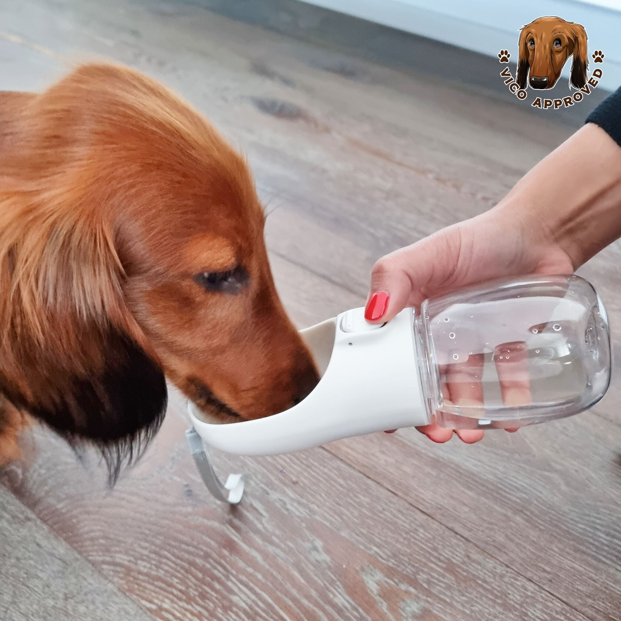 HydroPup Portable water bottle