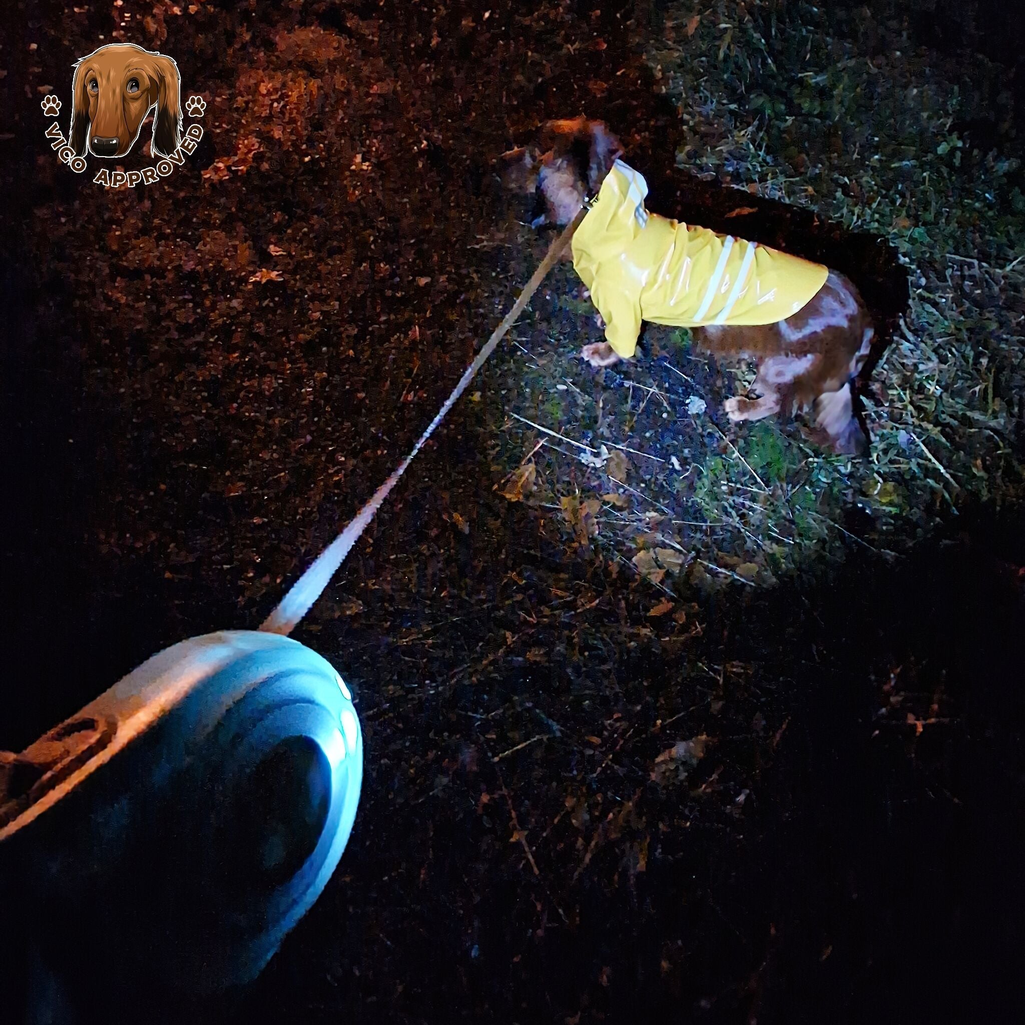 LED GlowDog Flexileine - Vico's Hundewelt (6049209303103)