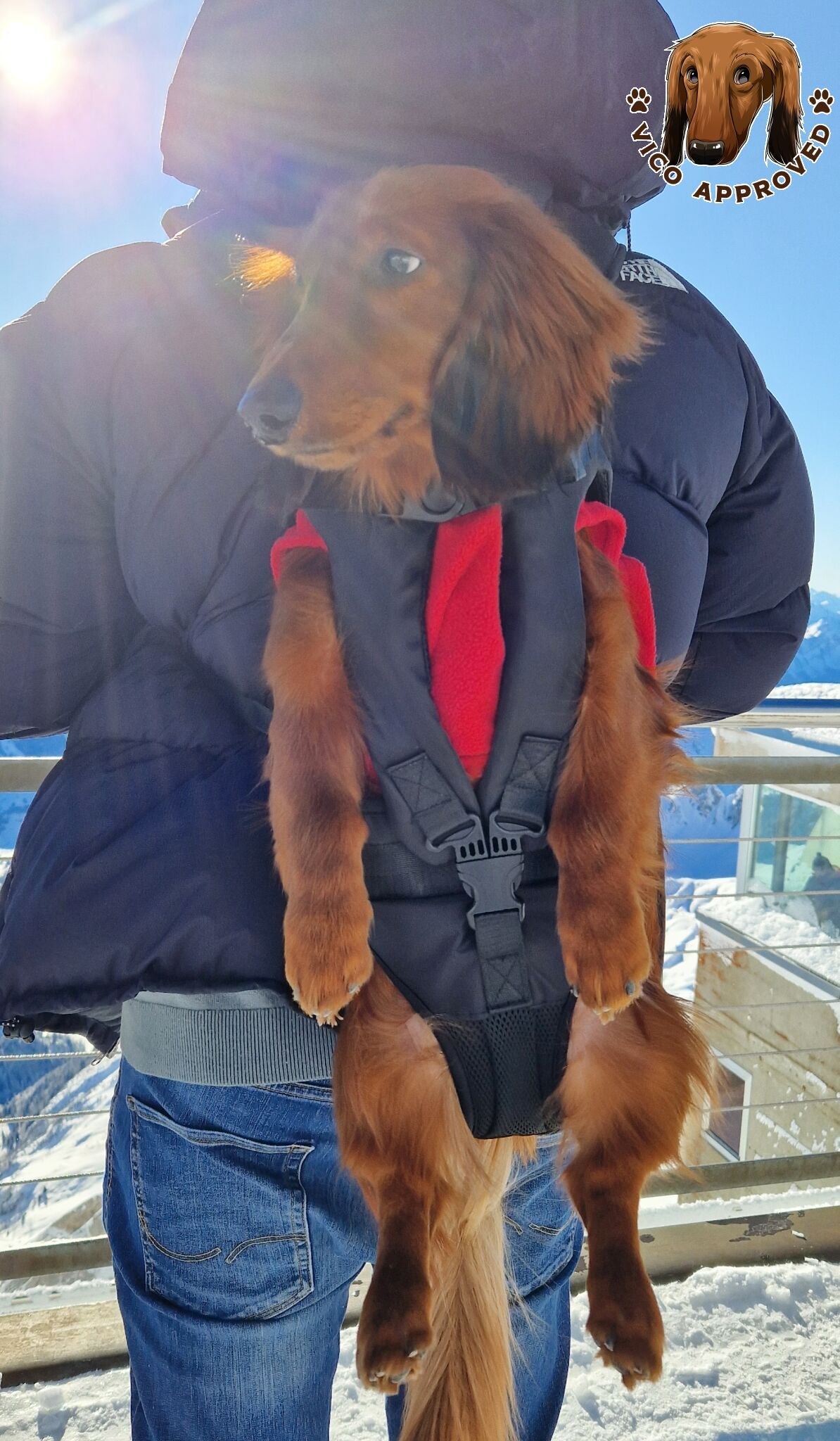 PawPal Voyage Veste - Vico's Hundewelt (7469885832664)