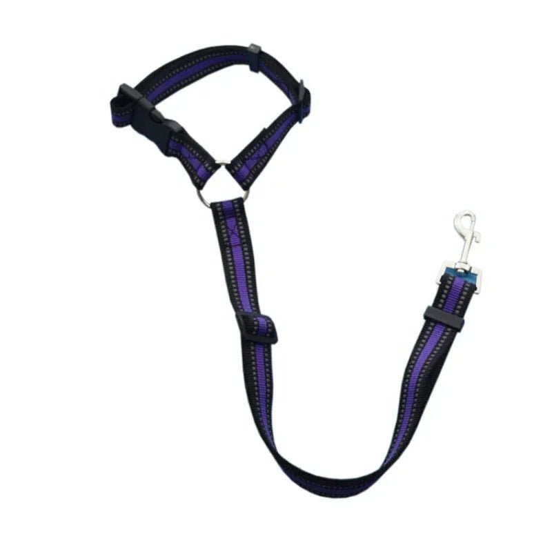 PetSafe Reiseleine - Vico's Hundewelt (7448418959764)
