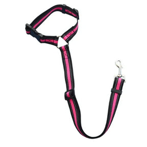 PetSafe Reiseleine - Vico's Hundewelt (7448431054491)