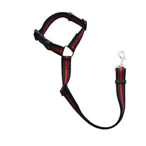 PetSafe Reiseleine - Vico's Hundewelt (7448340022369)