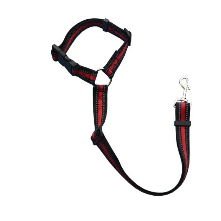 PetSafe Reiseleine - Vico's Hundewelt (7448340022369)