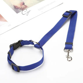 PetSafe Reiseleine - Vico's Hundewelt (7448291320767)