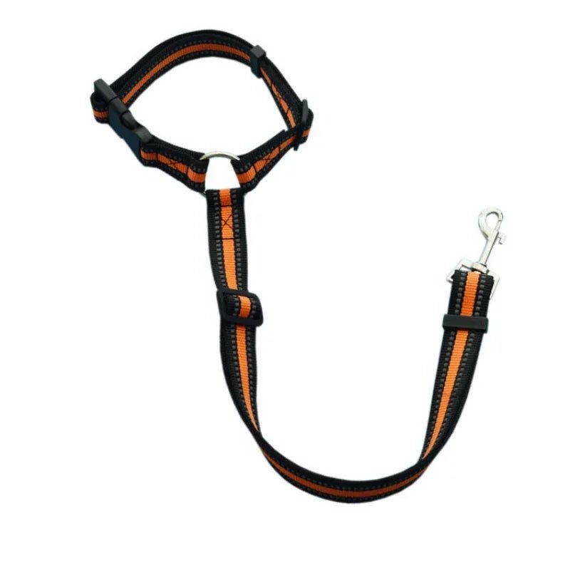 PetSafe Reiseleine - Vico's Hundewelt (7448377647252)