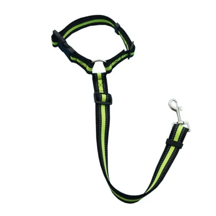 PetSafe Reiseleine - Vico's Hundewelt (7448317336727)
