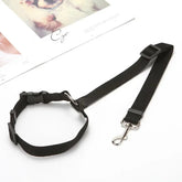 PetSafe Reiseleine - Vico's Hundewelt (7448272731285)