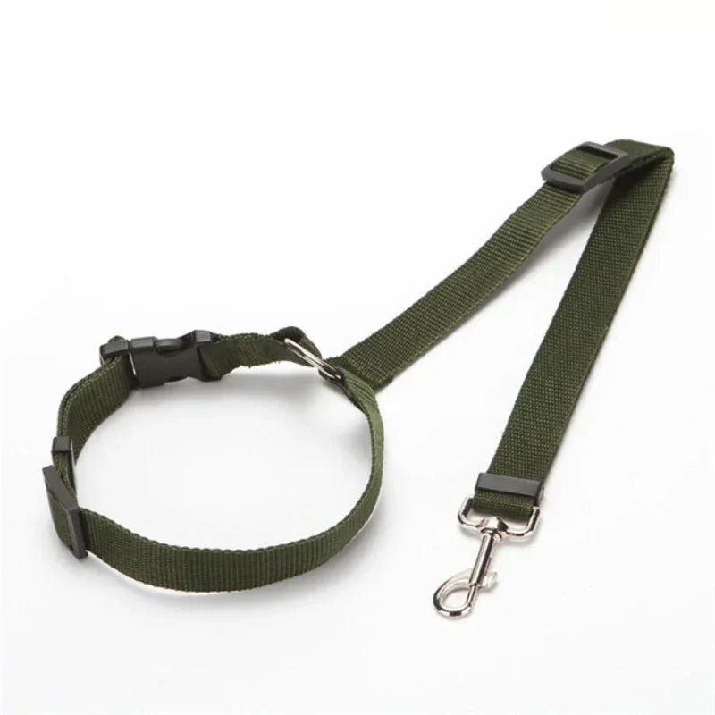 PetSafe Reiseleine - Vico's Hundewelt (7448313744236)
