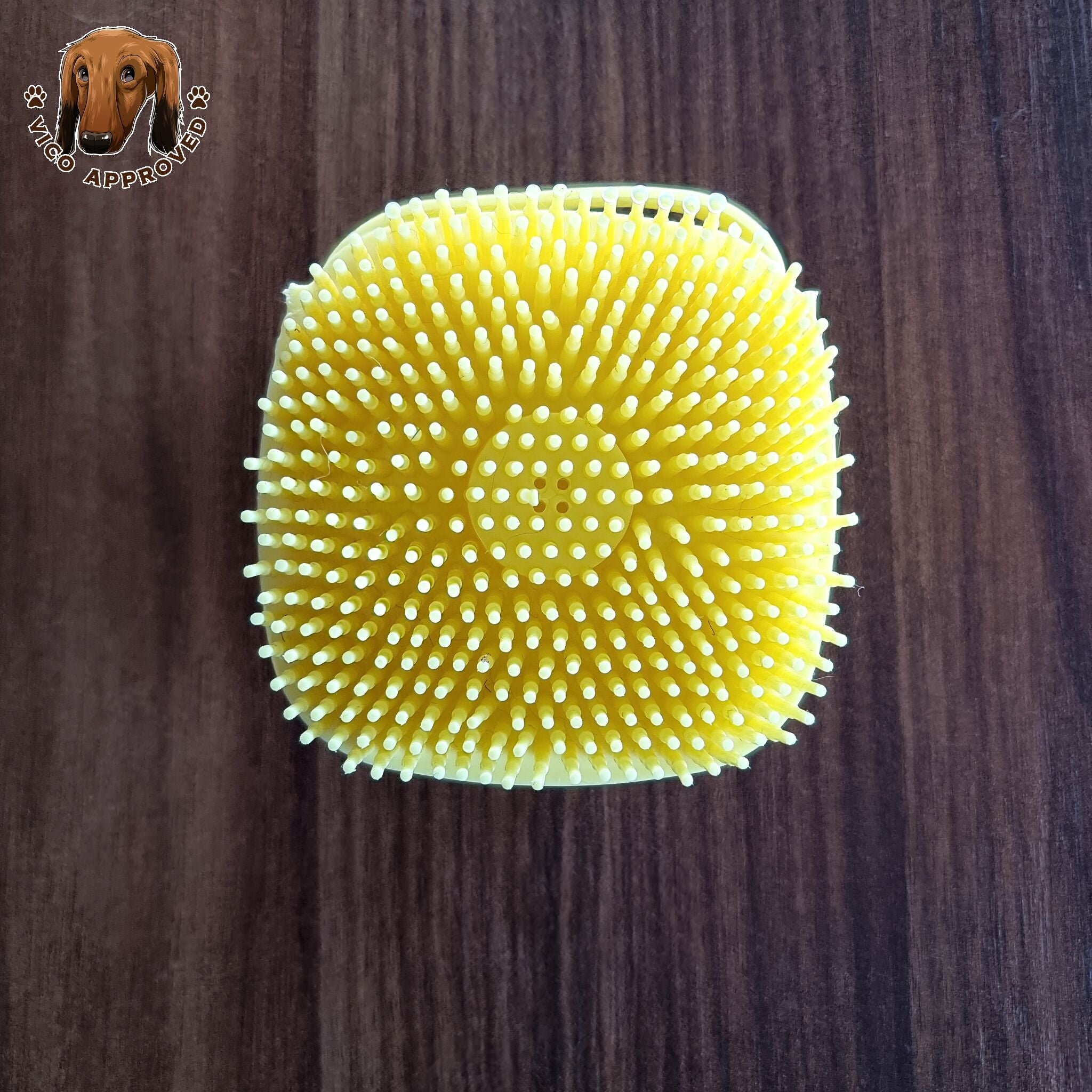 SpaPaws Massagebürste - Vico's Hundewelt (7458726319662)