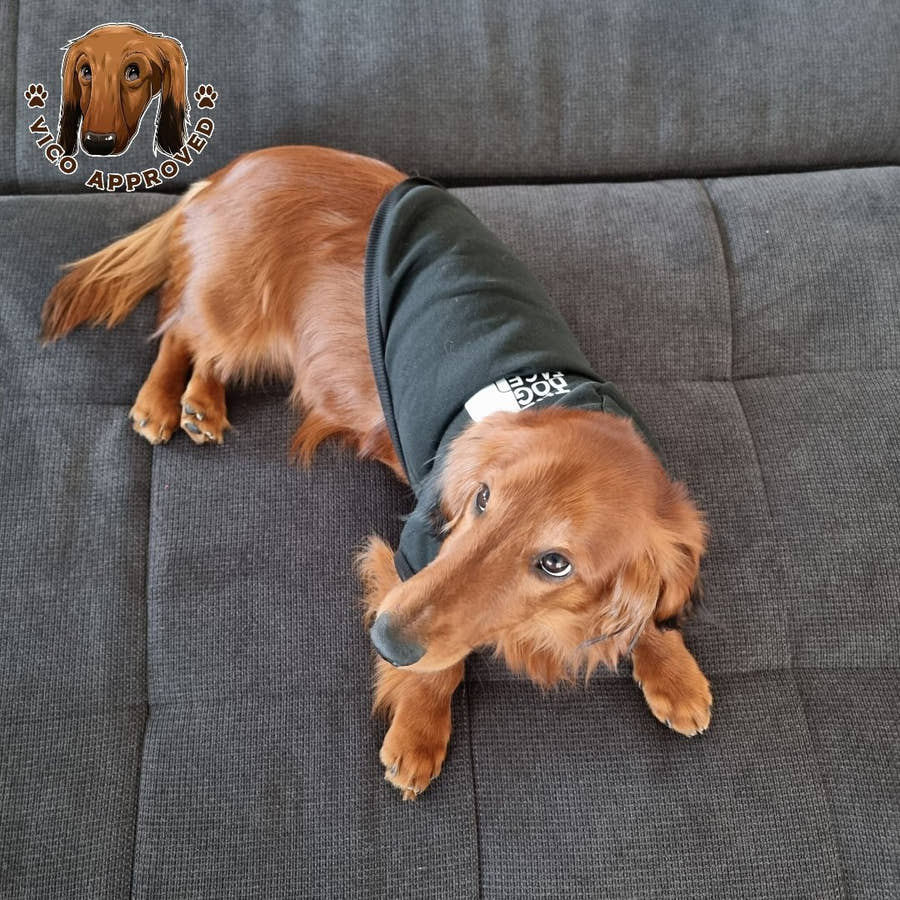 "The Dog Face" Pullover - Vico's Hundewelt (4749776685634)