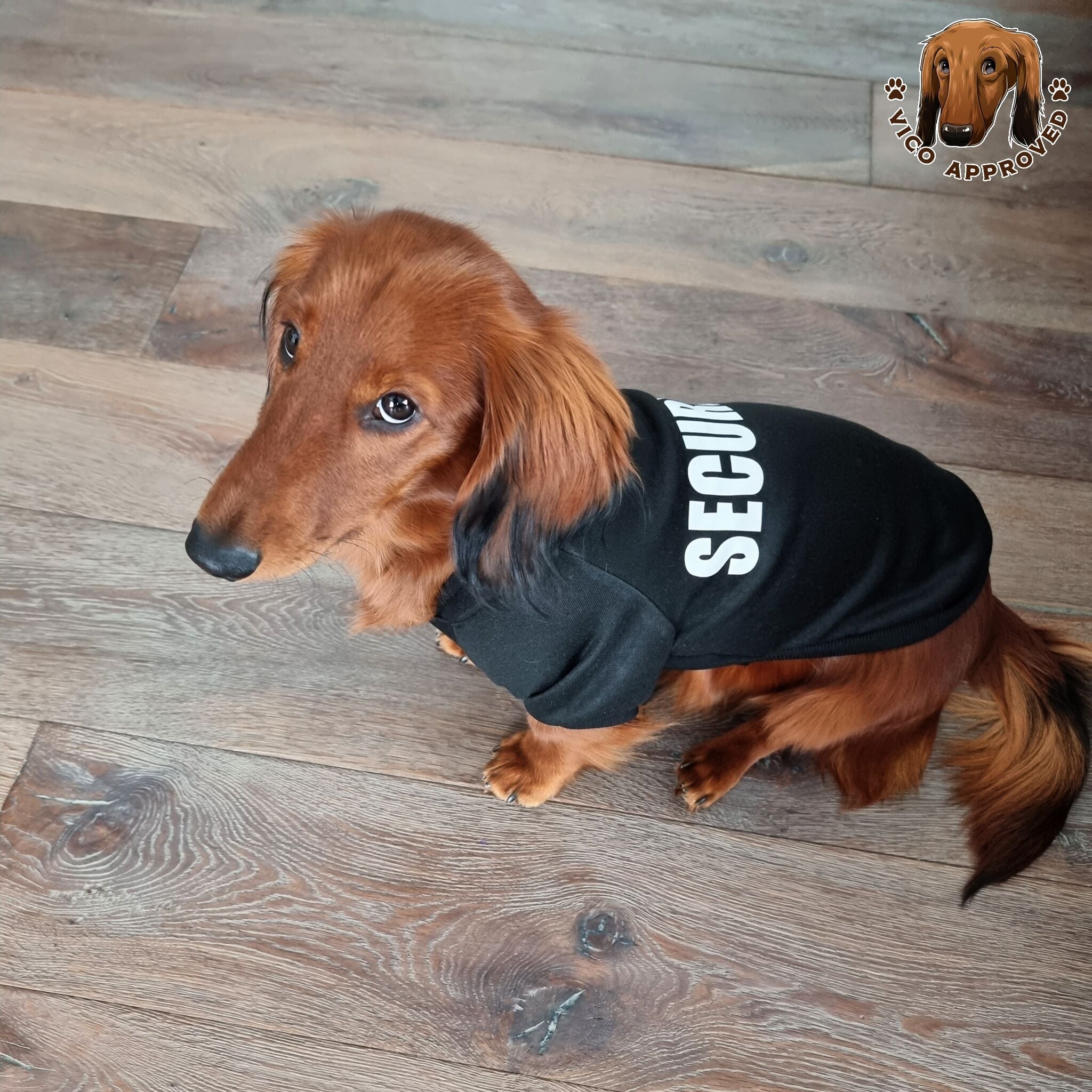 Winter-Hoodie für Hunde - Vico's Hundewelt (7469694441163)