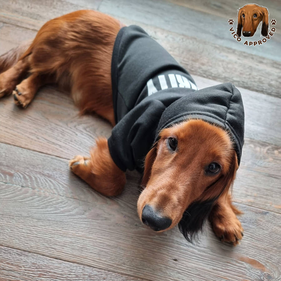 Winter-Hoodie für Hunde - Vico's Hundewelt (7469694441163)
